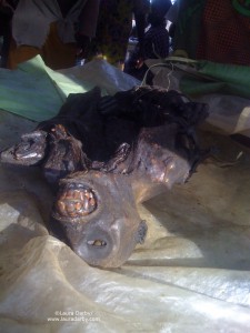 Smoked guenon carcass